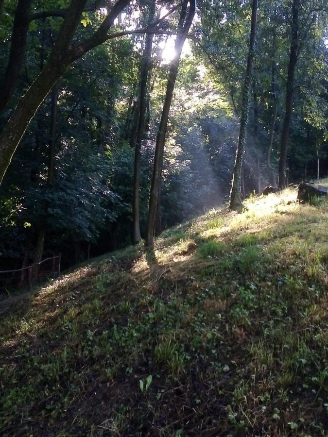 Rueglio Appartamento La Casa Nel Bosco מראה חיצוני תמונה