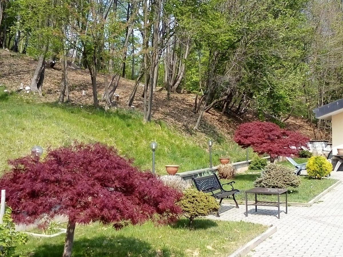 Rueglio Appartamento La Casa Nel Bosco מראה חיצוני תמונה