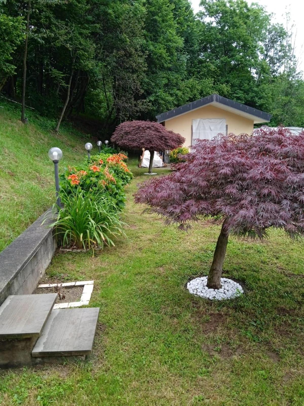 Rueglio Appartamento La Casa Nel Bosco מראה חיצוני תמונה